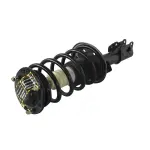 810334 - : Chevrolet, Pontiac, Saturn Suspension Strut and Coil Spring Assembly for GSP Image