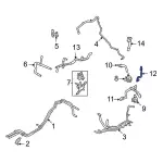 LX6Z8260HCD - : Hose for Ford: Escape, Maverick | Lincoln: Corsair Image