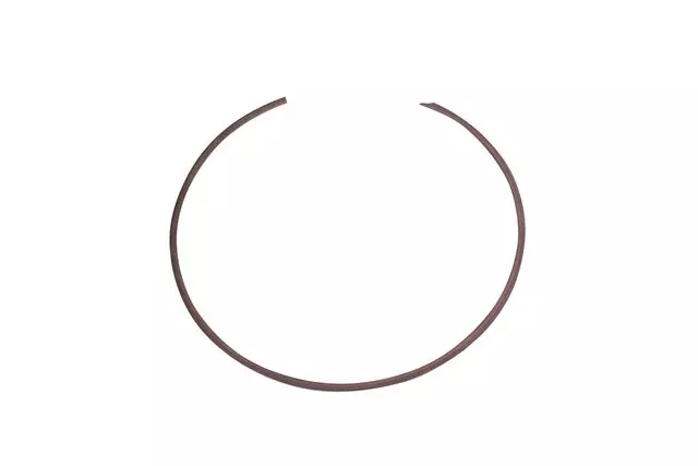 24276538 - : F (S)Ring for GM Image