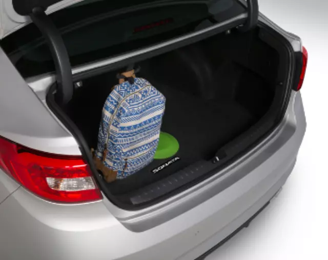 18ADU04 - Interior: Cargo Hook for Hyundai: Sonata Image