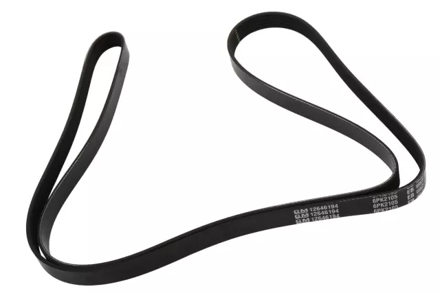 12646194 - : V-Ribbed Serpentine Belt for GM Image