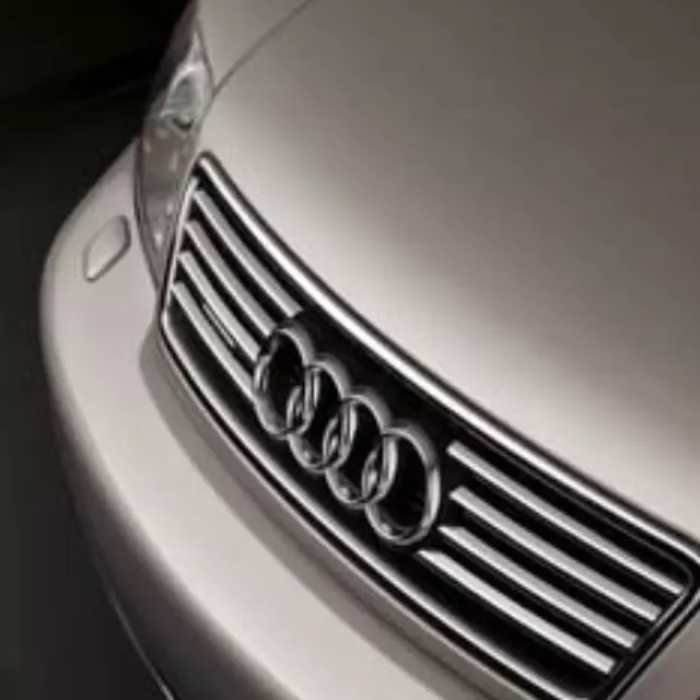 ZAW312007 - Exterior: Stainless Steel Grille Strips - A4 for Audi: A4 Quattro Image