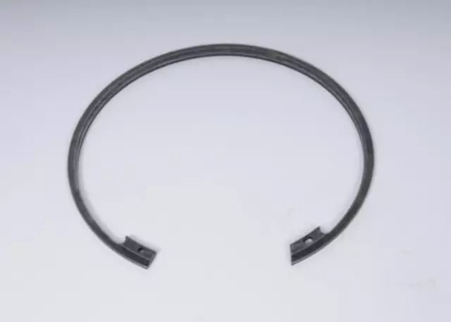 24265192 - : F (S)Ring for GM Image