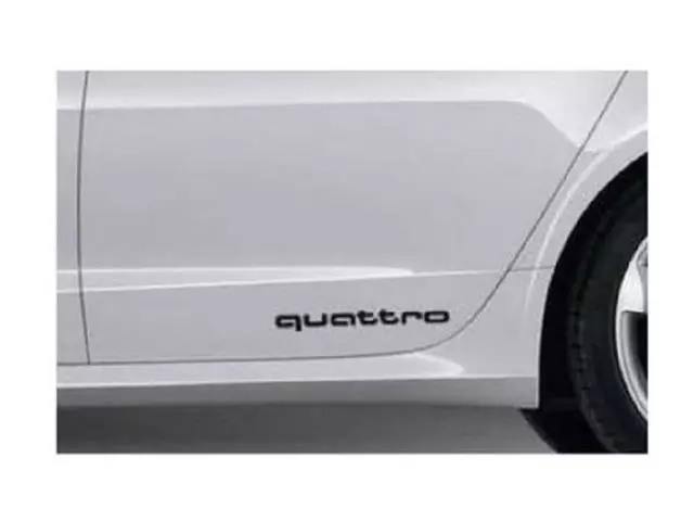 Stone Guard - Audi (4G0-064-317-A-Y9B)