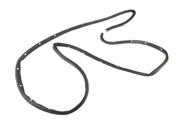 Door Weather-Strip - GM (84011073)