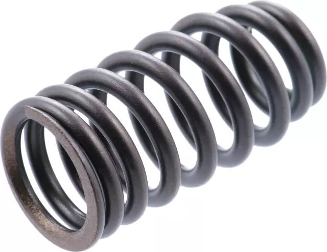 132036KA0A - : Valve Springs for Nissan: Altima, Frontier, Maxima, Murano, NV1500, NV2500, NV3500, Pathfinder, Xterra Image