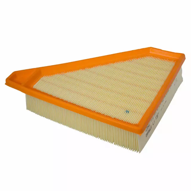 Air Filter - Ford (9T1Z-9601-A)