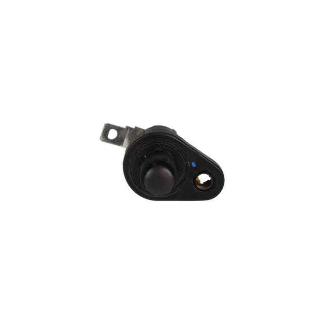 650037 - Interior: Door Jamb Switch for ROSTRA Image