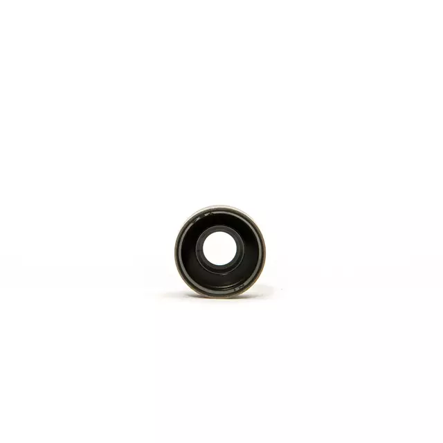 Valve Seals - Honda (12210-PZ1-004)