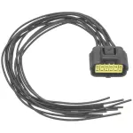 S813 - : Neutral Safety Switch Connector for SMP CORP Image