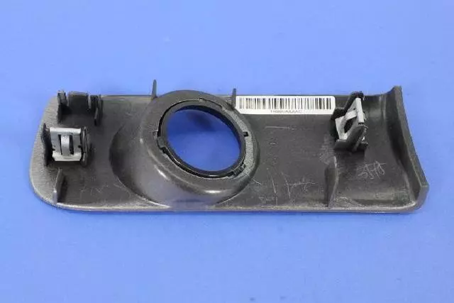 Instrument Panel Applique - Mopar (1RB60AAAAC)