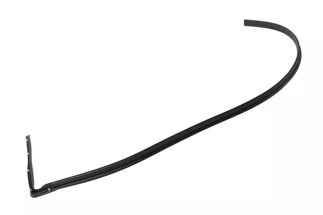 Upper Weather-Strip - GM (25819151)
