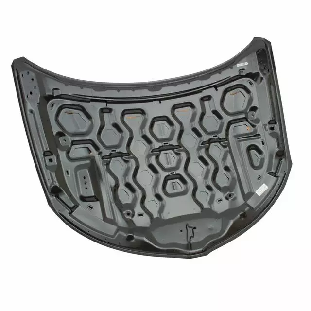Hood - Ford (DP5Z-16612-A)