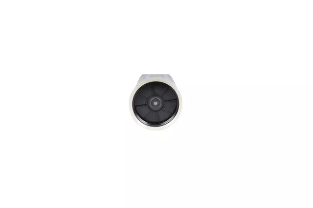 Filter - GM (19256911)