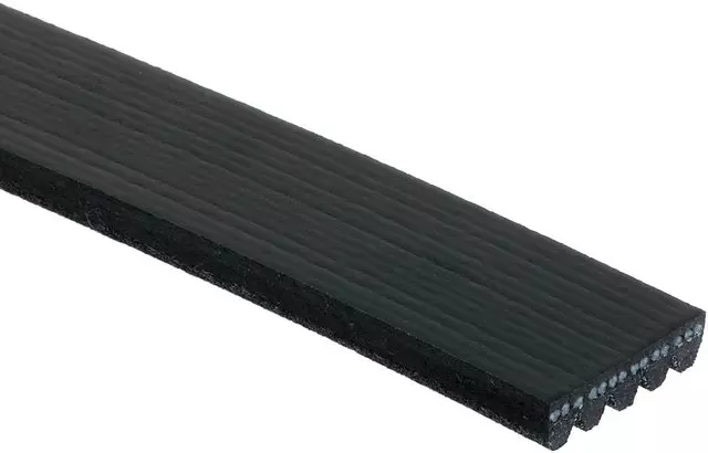 Belt - GM (88932583)