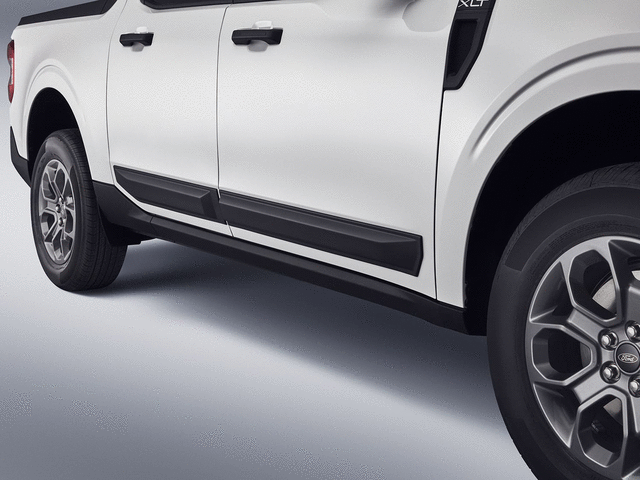 Door Molding - Satin Black - Ford (VNZ6Z-1820049-A)