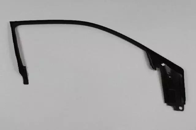 Door Window Opening Molding, Right - Mopar (1TT96DX9AB)