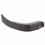 6W1Z5429077APTM - Body: Body Side Molding for Lincoln: Town Car Image