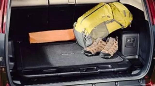 PT2088919420 - : Cargo Mat, Carpet for Toyota: 4Runner Image