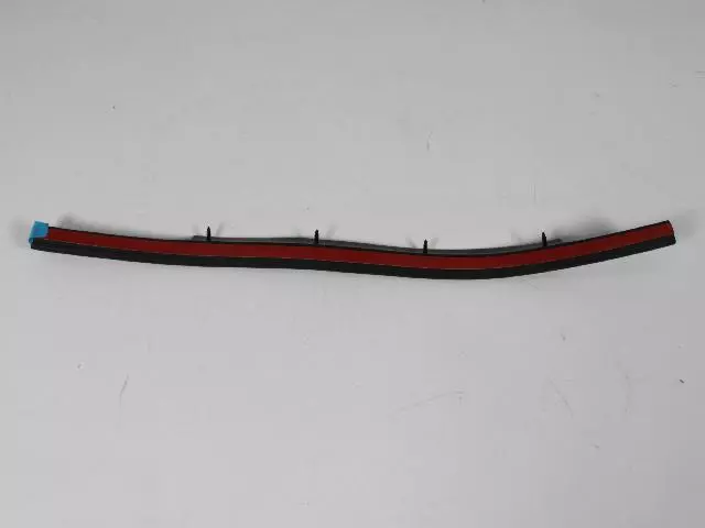 55257240AE - Doors and Related Parts: Door Seal, Right for Mopar Image