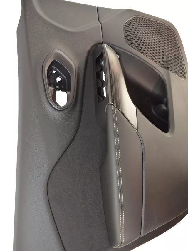 FRONT DOOR TRIM - PANELASSY 6BC501X9AA - Mopar (6BC501X9AE)