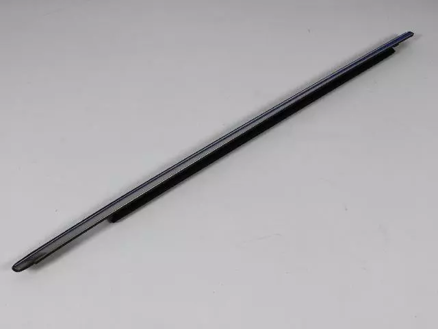 Front Door Belt Weatherstrip, Left - Mopar (4805807AE)