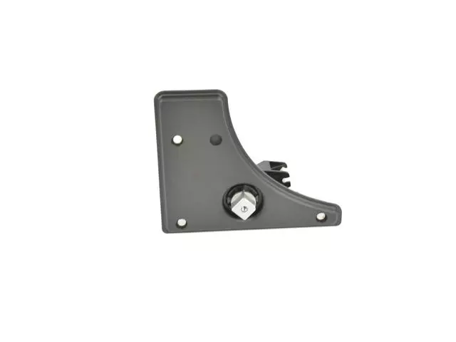 Remote Handle Bezel, Left - Mopar (1ZQ09JXWAA)