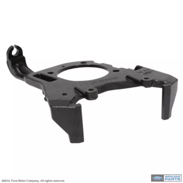 Disc Brake Caliper Bracket - Motorcraft (BRBCR32)