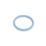 53021239AA - : Chain Case Cover O Ring for Mopar Image