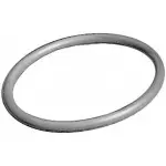 213PKG - : National 213PKG Multi-Purpose O-Ring for National Bearings Image