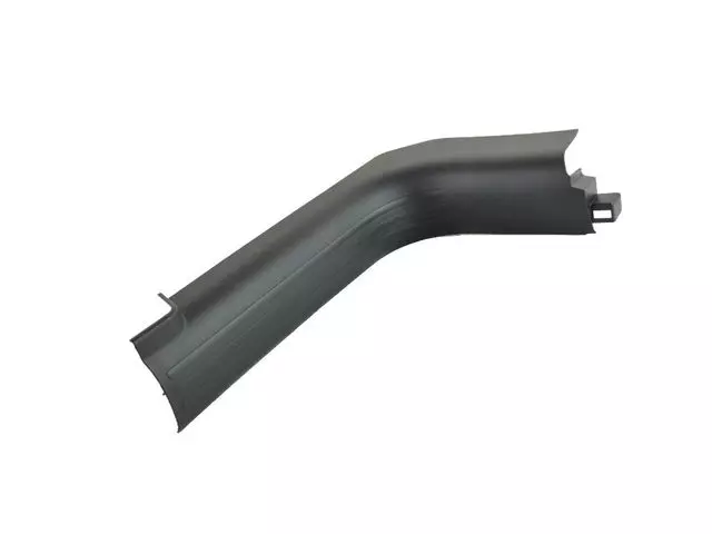 Molding - Mopar (5LY05DX9AD)
