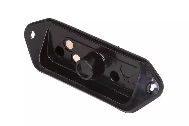 Contact Plate - GM (19316403)