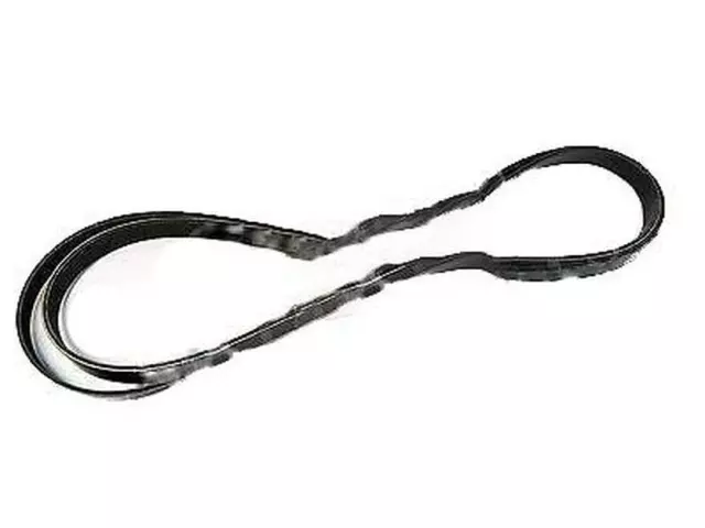 Serpentine Belt - Ford (9L8Z-8620-C)