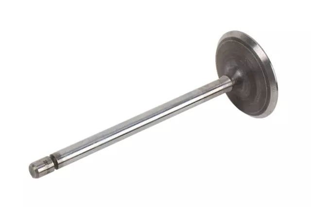 Intake Valve - GM (12575351)