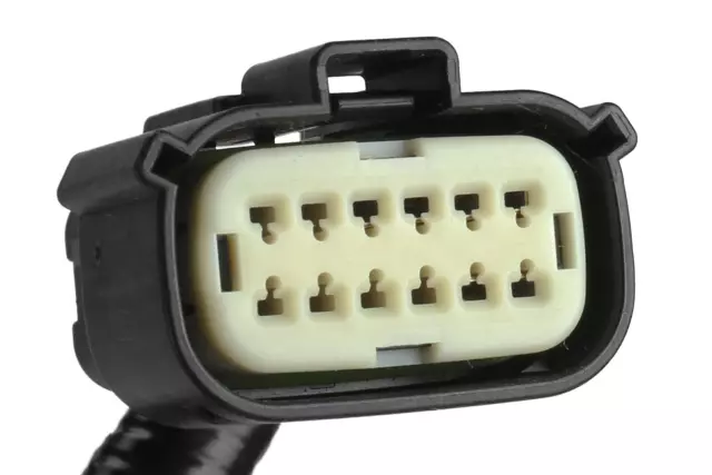 Back-up Lamp Wiring Harness - GM (23478892)