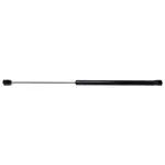 6976 - : Universal Lift Support for STRONG ARM Image