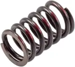VS310 - : Stock Replacement Valve Spring for Melling Image