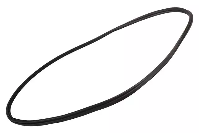 92249956 - Body: Weatherstrip for Chevrolet: SS Image