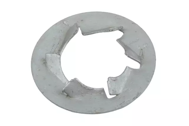 11612179 - : F (S)Nut for GM Image