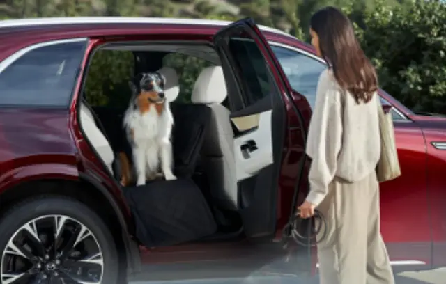 KMV6V0240 - Interior: Pet Seat Protector for Mazda: CX-30, CX-5, CX-50, MX-30 EV Image