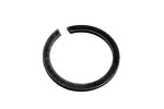97047297 - : F Ring for GM Image