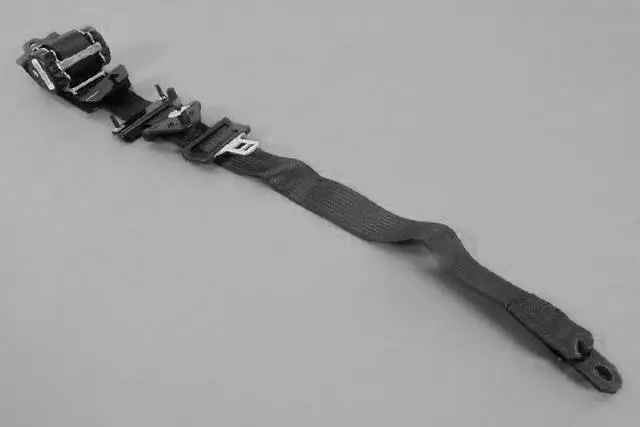 Rear Seat Belt, Right - Mopar (TS761DAAE)