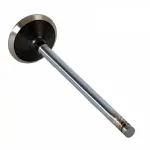 V4347 - : Engine Exhaust Valve for Enginetech Image