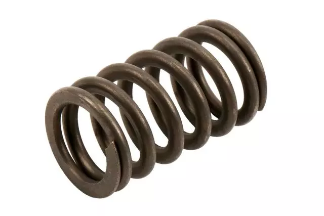 12596078 - : Engine Valve Spring for Buick: Rainier | Chevrolet: Colorado, Trailblazer, Trailblazer EXT | GMC: Canyon, Envoy, Envoy XL, Envoy XUV | Hummer: H3 | Oldsmobile: Bravada Image