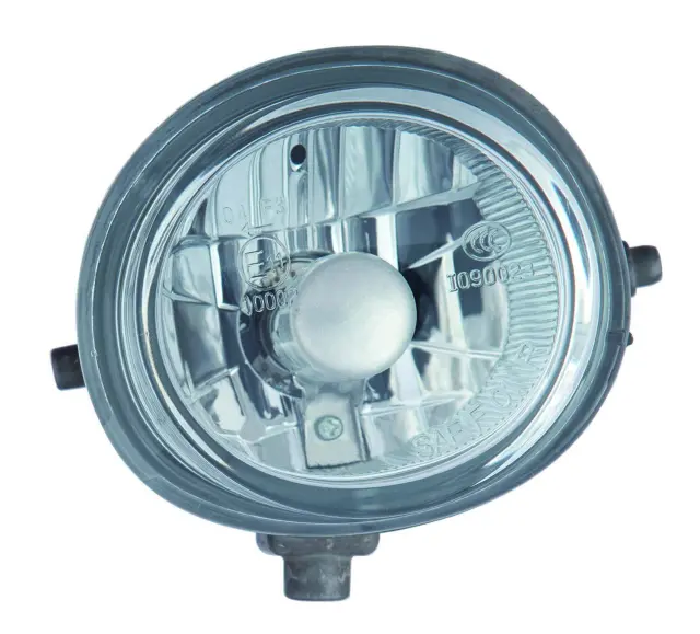 3162022LAQ - : Fog Light Assembly for Maxzone Vehicle Lighting Image