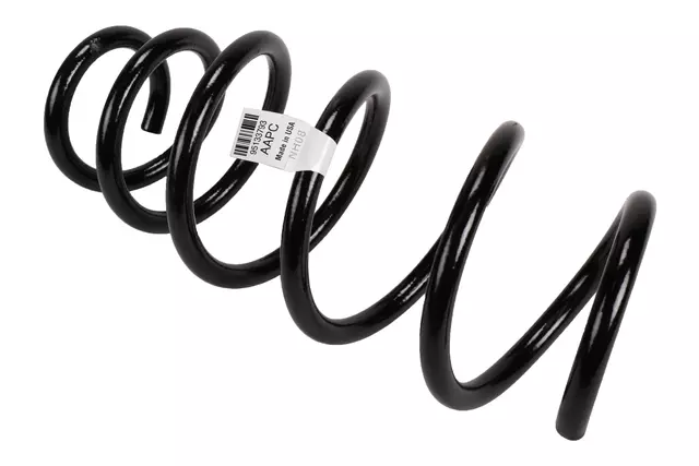 Front Coil Spring - GM (95133793)