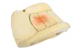95459510 - Body: Seat Back Pad for GM Image