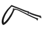 10198209 - Body: Weatherstrip for GM Image