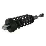 811323 - : Ford, Mercury Suspension Strut and Coil Spring Assembly  - Front for GSP Image
