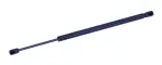 613084 - : Liftgate Lift Support for Tuff Support Image